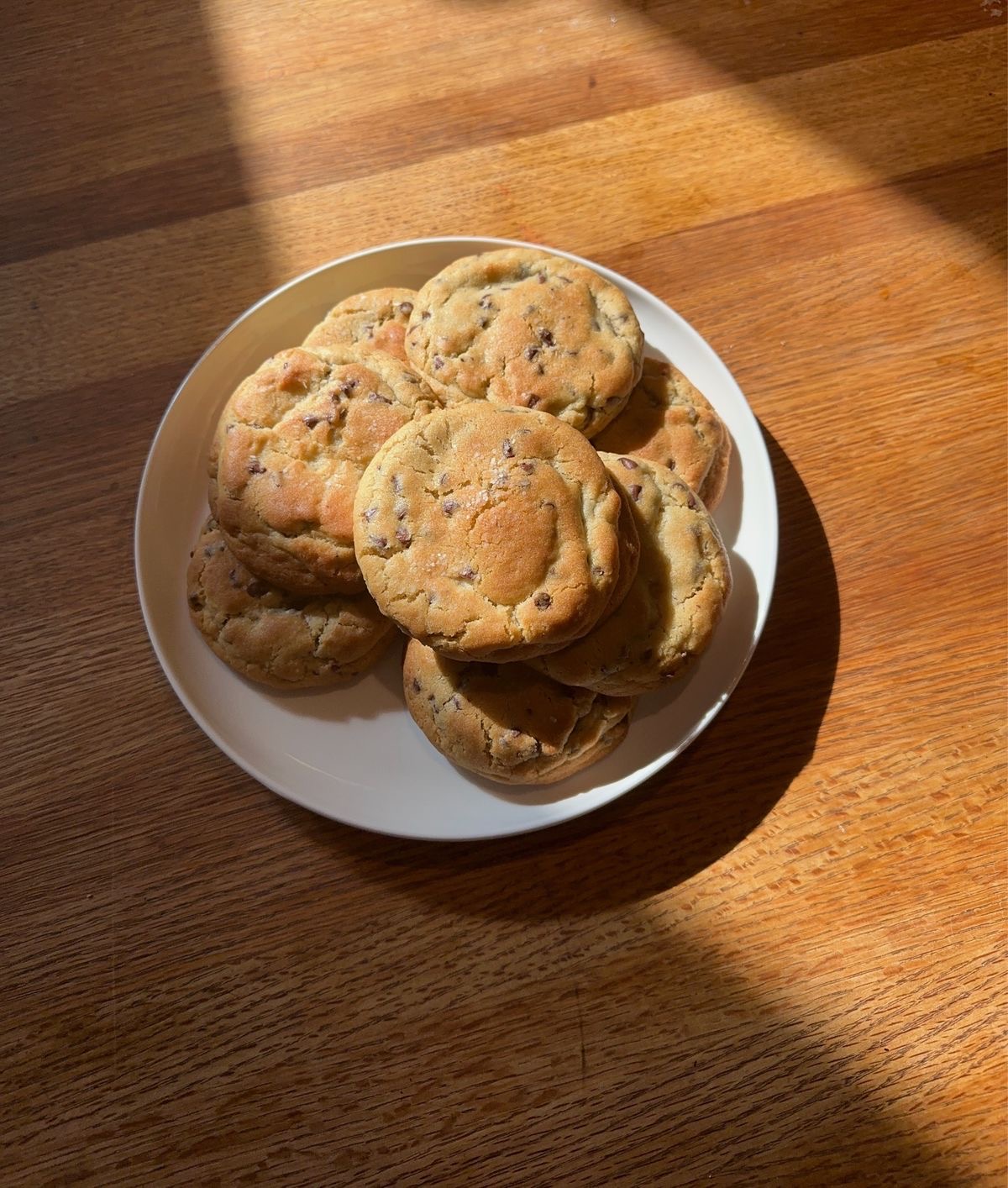 Chocolate Chip Cookies Photo